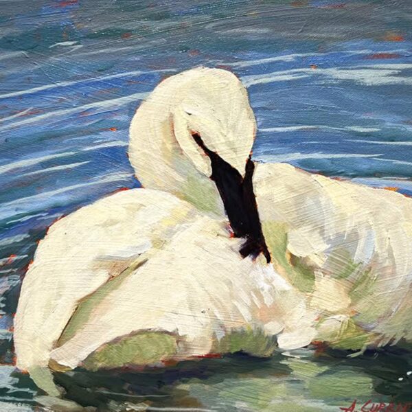 Preening