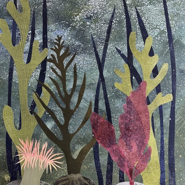 Tidal Dreams