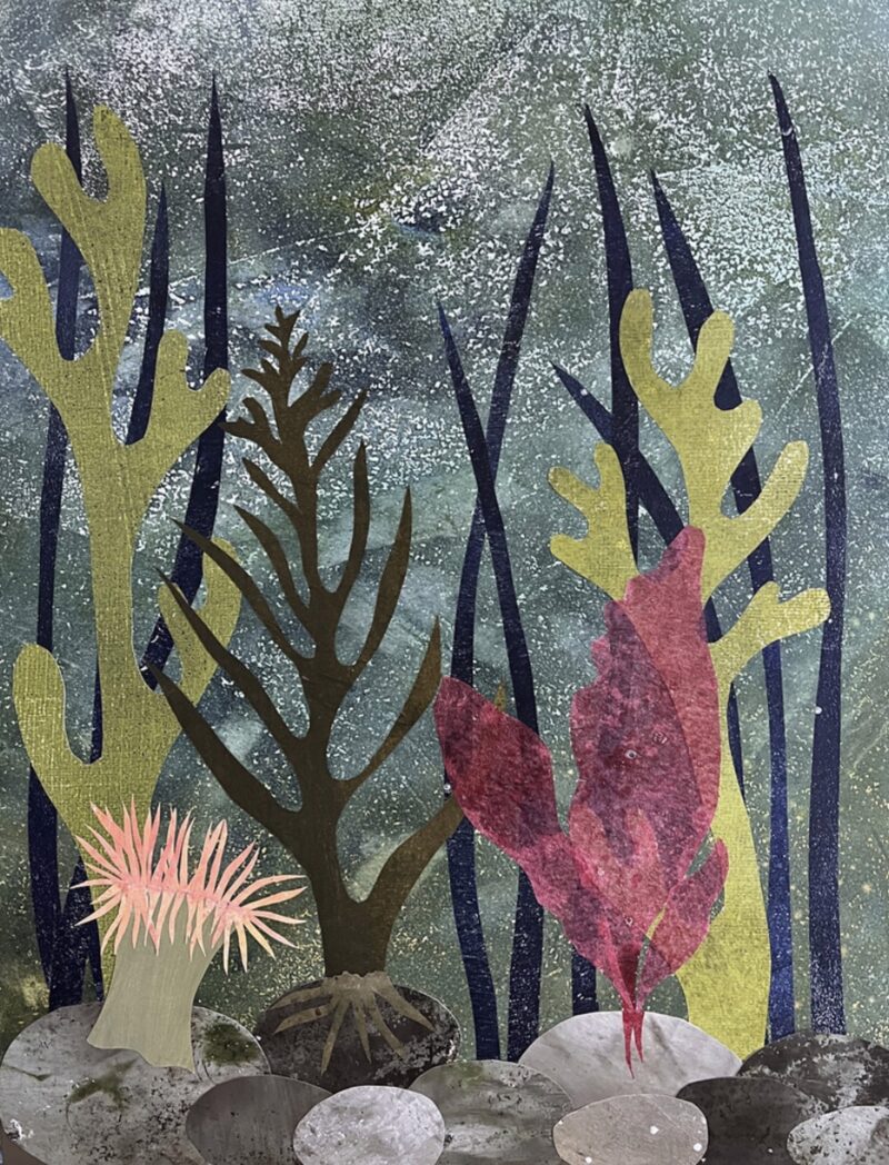 Tidal Dreams