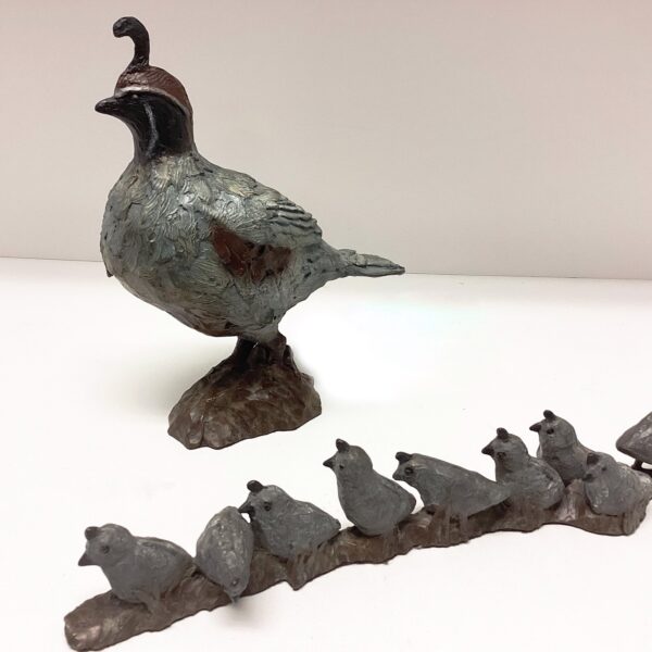 Quail Family