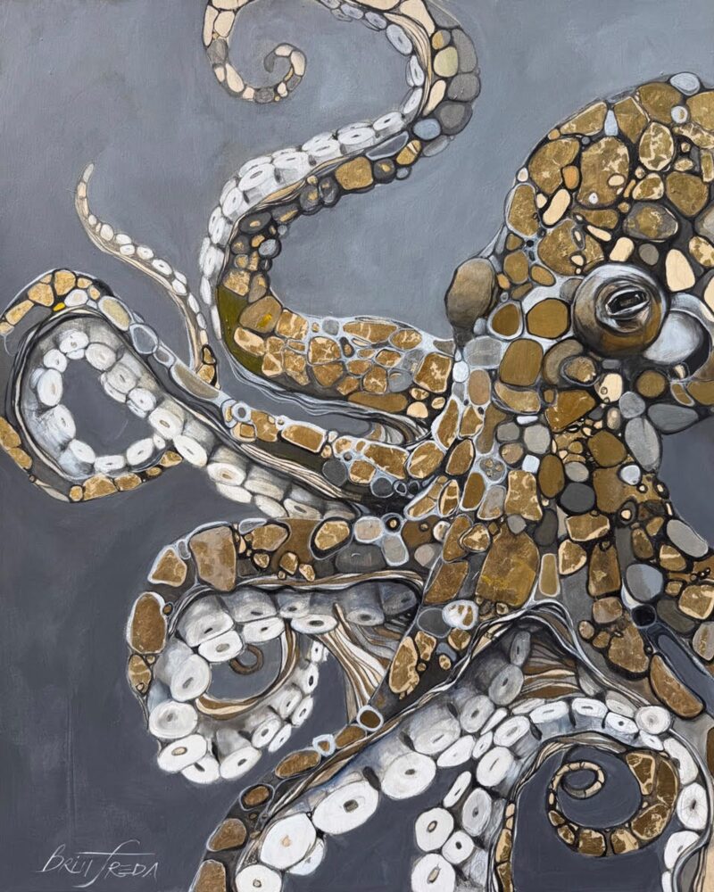 Octopus