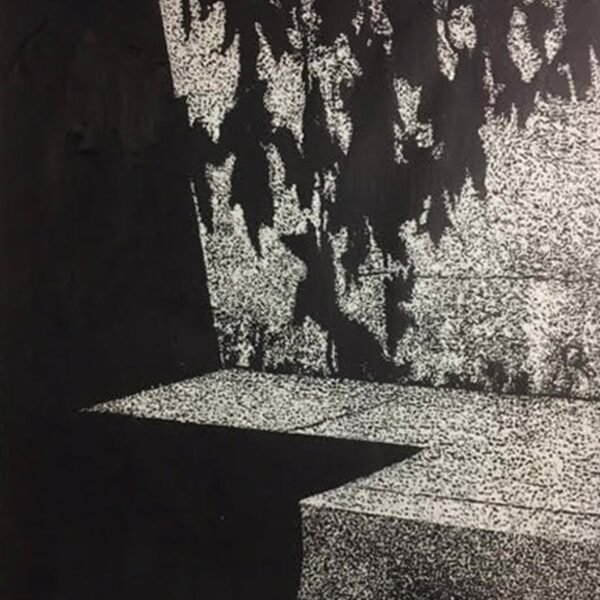 Shadows and Leaves