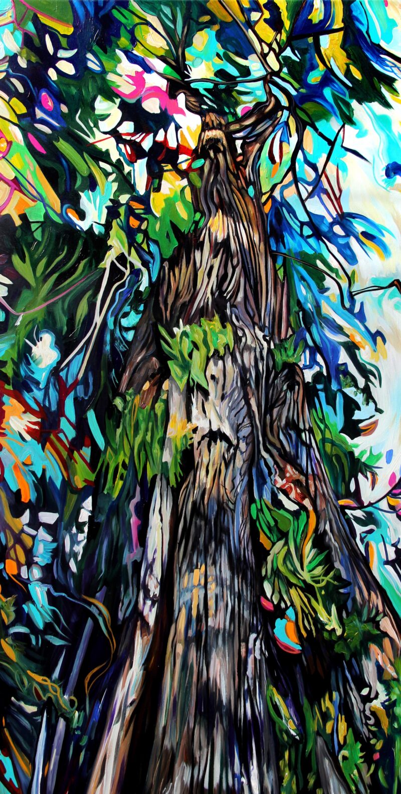 Storied Cedar