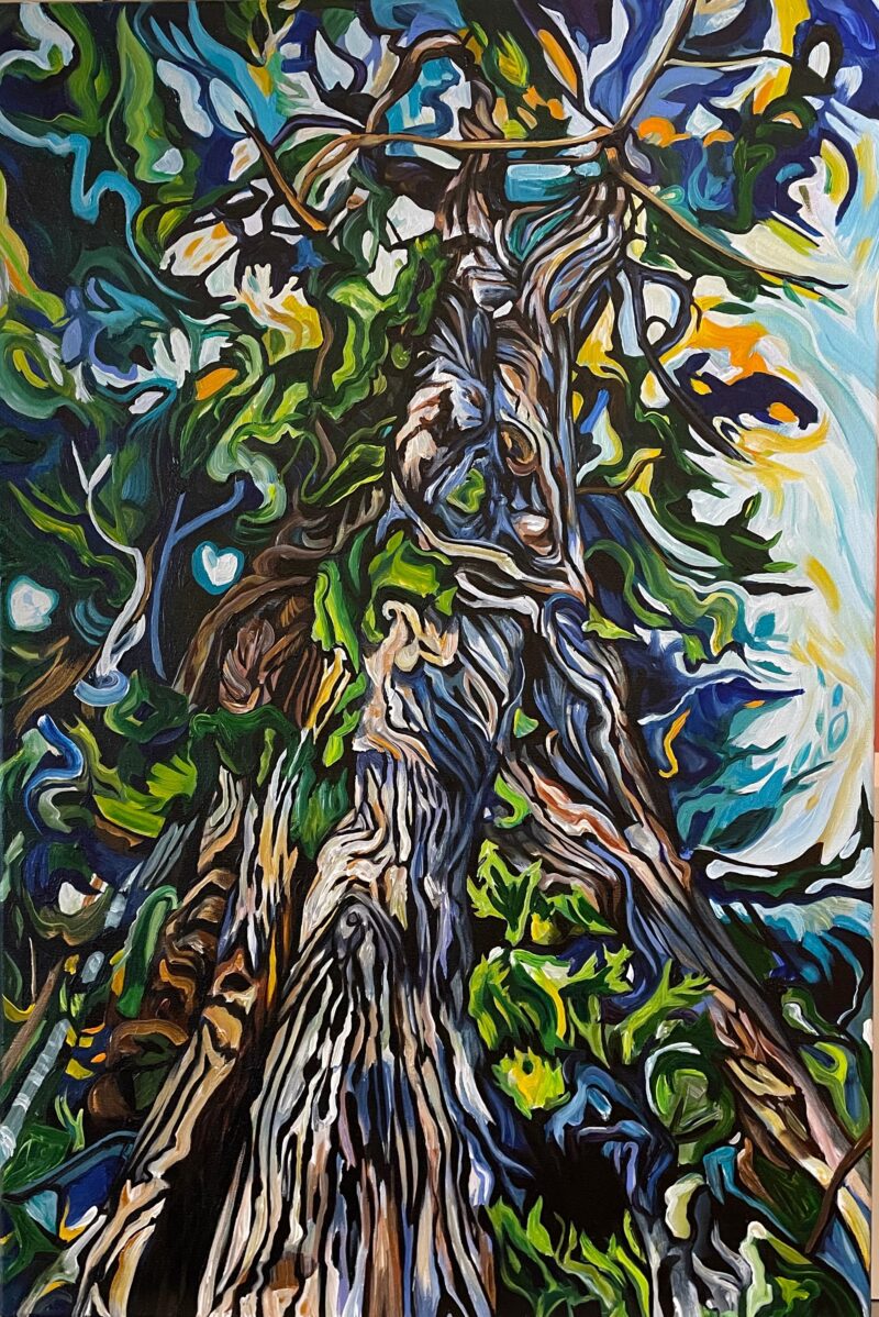 Wizard Tree