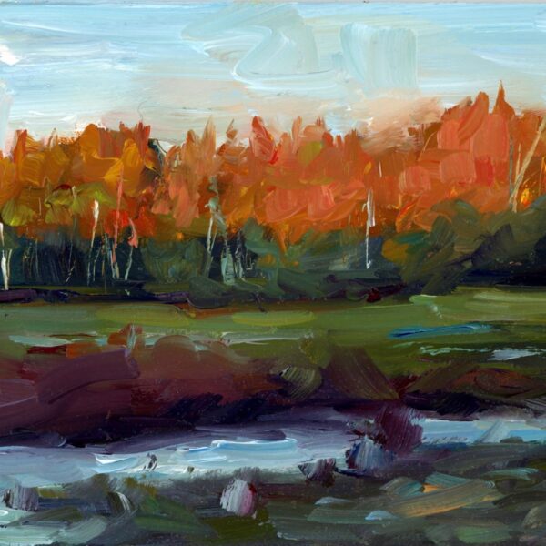 On Fisher Pond