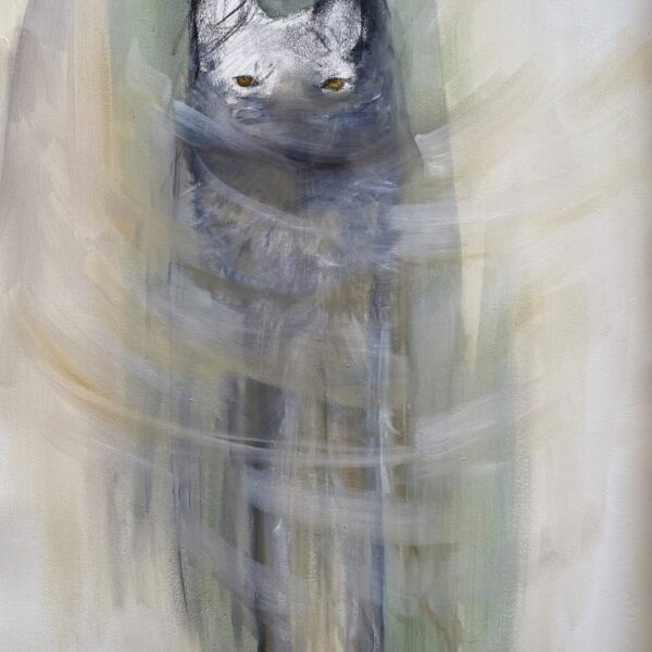 Glimpse | Coyote |