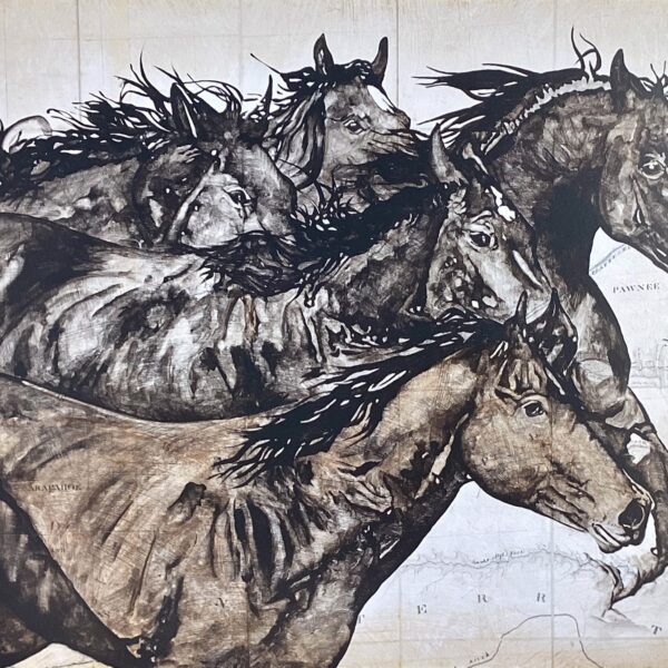 Wild Horses