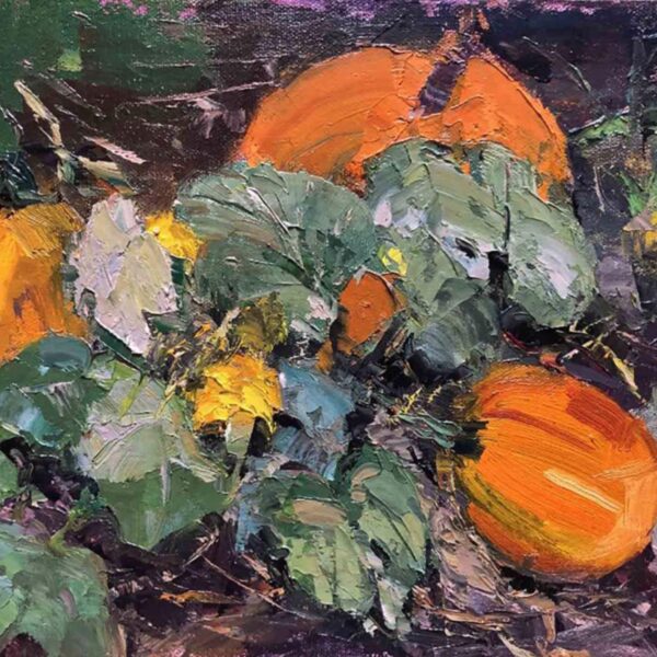 At the Day Road Pumpkin Patch