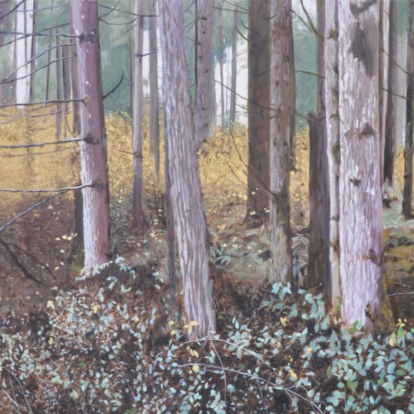 Forested