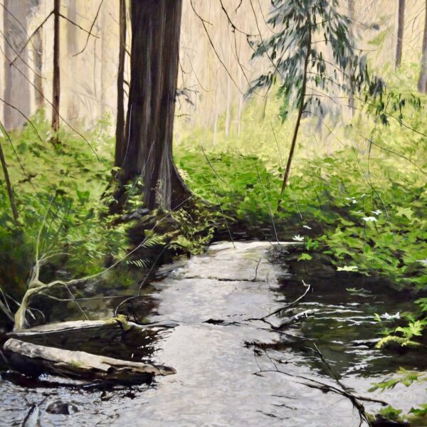 River Solace