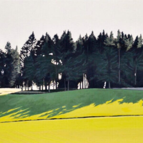 Splayed Shadow