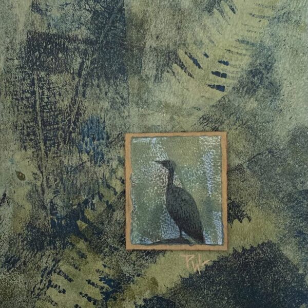 Cormorant Waiting