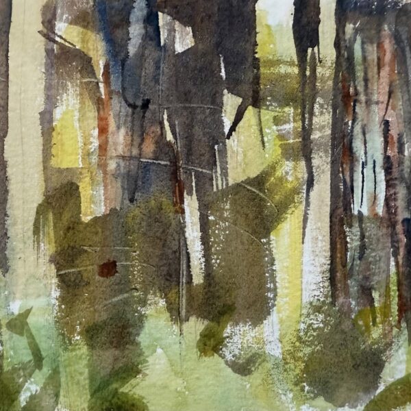 Grand Fir Trunks