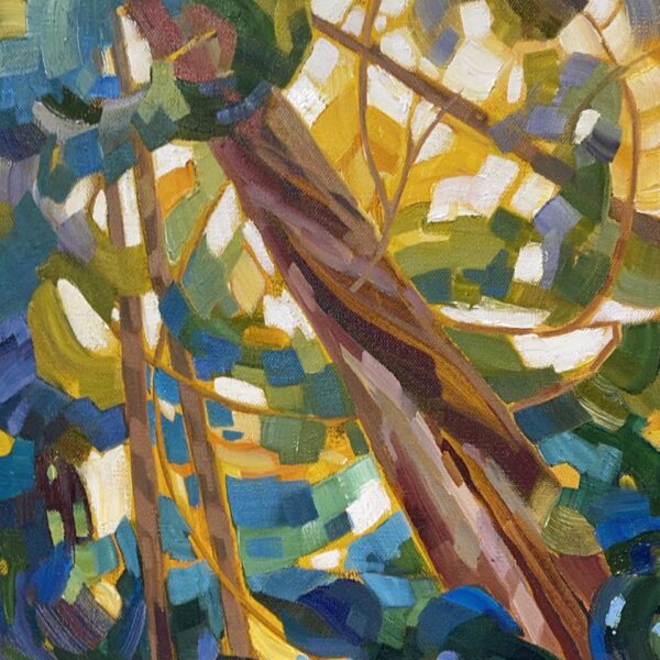 Forest Canopy