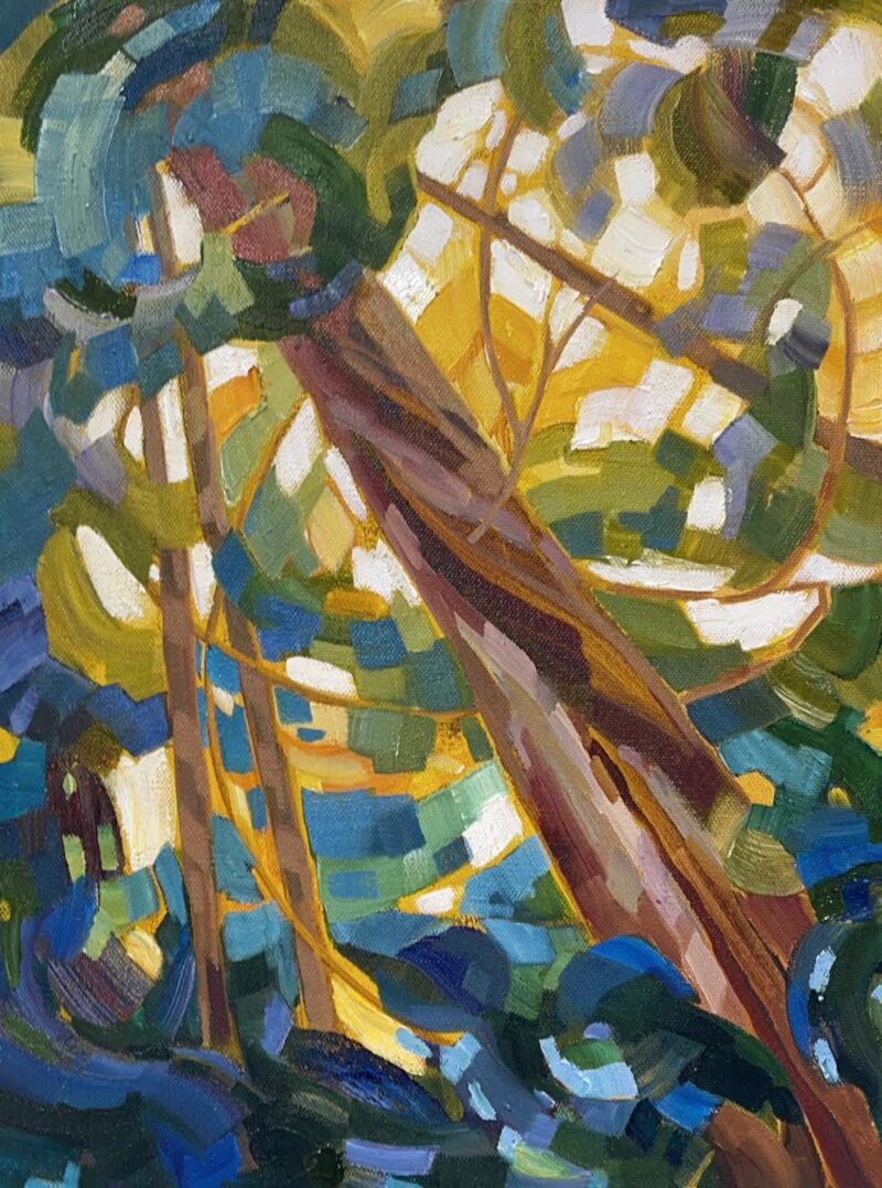 Forest Canopy
